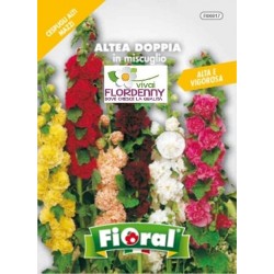 FIORAL SEMI DI ALTEA DOPPIA IN MIX fiori sementi giardino aiuola pi...