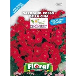 FIORAL SEMI DI GAROFANO ROSSO CINESE fiori sementi giardino aiuola ...