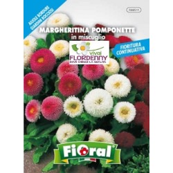 FIORAL SEMI DI MARGHERITINA POMPONETTA MIX fiori sementi giardino a...